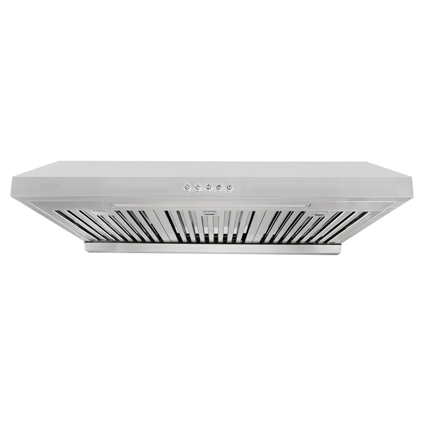 Waterloo 850CFM 30'' Stainless Steel Under Cabinet Range Hoods