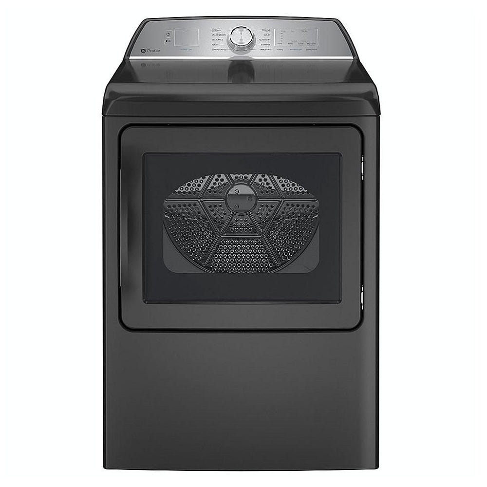 GE 型 PTD60EBMRDG 电动干燥机