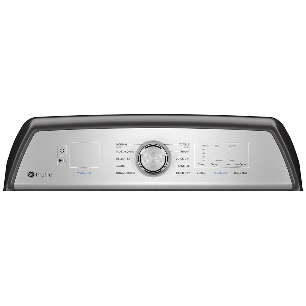 GE 型 PTD60EBMRDG 电动干燥机