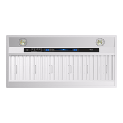 Ottawa 1000CFM 42" Stainless Steel Insert Voice Control DC Motor Range Hoods