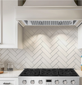 Ottawa 1000CFM 30'' Stainless Steel Insert Voice Control DC Motor Range Hoods | Future Appliances