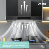 Vesta Copenhagen 800 CFM Wall Mount Range Hood in Black Stainless