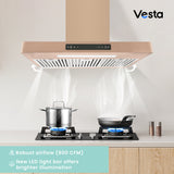 Vesta Copenhagen 30" 800 CFM Stainless Steel Wall Mount Range Hood