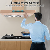 Vesta Copenhagen 30" 800 CFM Stainless Steel Wall Mount Range Hood