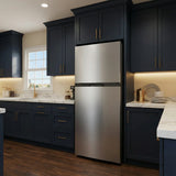 Vesta Newfoundland 24" Top Freezer Refrigerator, Stainless steel colour