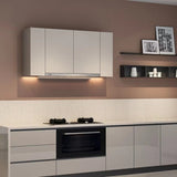 BIG3610丨 36" Insert Range Hoods