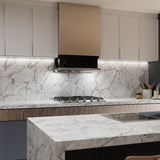 BIG3610丨 36" Insert Range Hoods