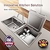 Fotile 2-IN-1 In-Sink Dishwasher SD2F-P3