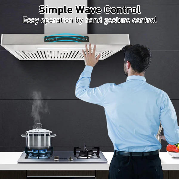 Vesta Copenhagen 24" 800 CFM Stainless Steel Wall Mount