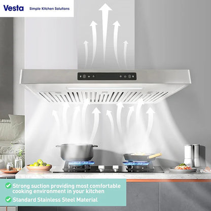 Vesta Copenhagen 24" 800 CFM Stainless Steel Wall Mount