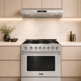 Vesta Conway 30" Under Cabinet 750 CFM Range Hood