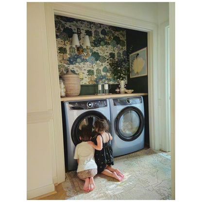 Electrolux ELFG7437AG Gas Dryer