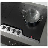 Frigidaire Professional 30" Induction Cooktop FPIC3077RF