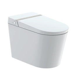R&T G19 Smart Bidet Toilet