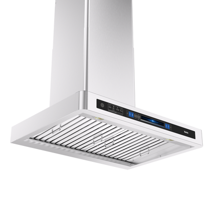 Hamburg 1000CFM 36'' Stainless Steel Wall Mount Voice Control DC Motor Range Hoods