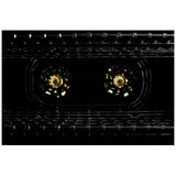 JennAir Noir JGRP430HM Gas Range, 4.1 cu. ft. Capacity, 30 inch Exterior Width, Self Clean, Dual Fan True Convection, 4 Burners, 20,000 BTU Highest Burner, Stainless Steel colour