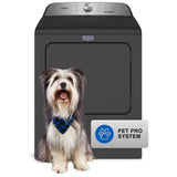 Maytag MGD6500MBK Gas Dryer, 7 cu. ft. Dryer Capacity, 12 Dry Cycles, Steam Clean, 4 Temperature Settings, Vented, Black colour