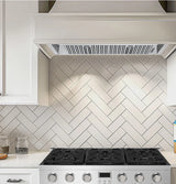 Vesta MONTREAL 24" Stainless Steel Insert