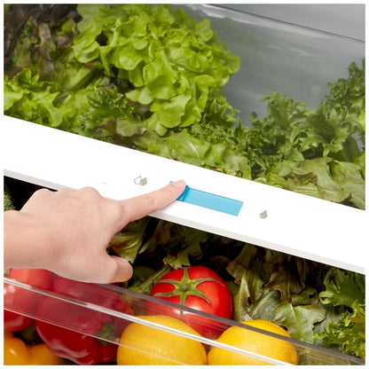 Midea MRT14D2BWW Top Freezer Refrigerator