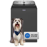 Maytag MVW6500MBK Top Load Washer