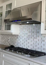 Vesta Moscow 48" 1000 CFM Stainless Steel Under Cabinet Rangehood side view