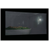 Frigidaire Professional PMBS3080BF Countertop Built In Microwave, 24 inch Exterior Width, 2.2 cu. ft. Capacity, 1,100 W Watts, Stainless Steel colour