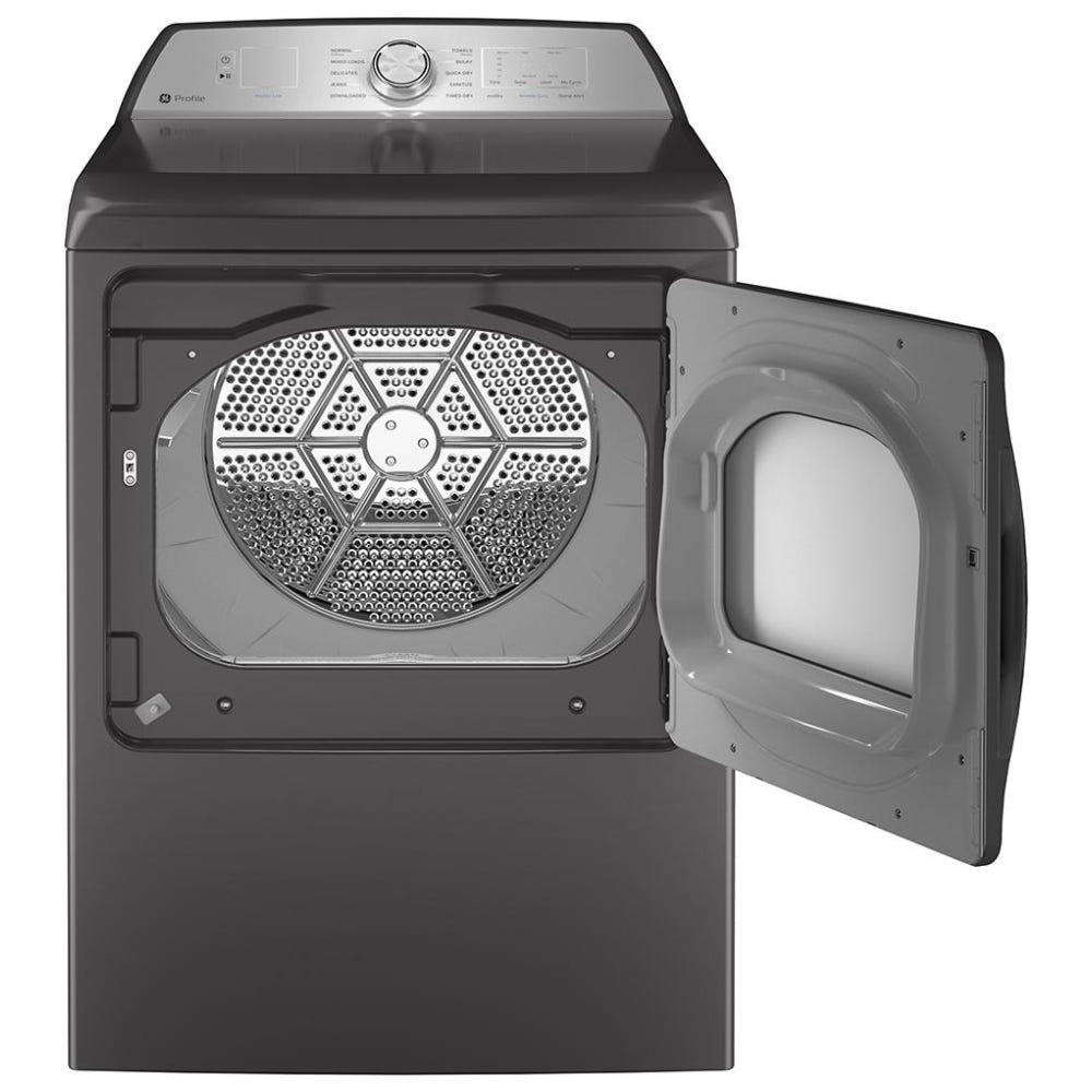 GE 型 PTD60EBMRDG 电动干燥机