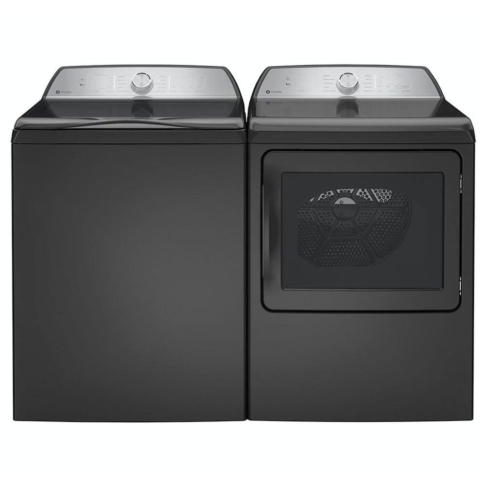 GE 型 PTD60EBMRDG 电动干燥机