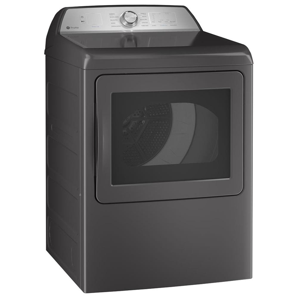 GE 型 PTD60EBMRDG 电动干燥机