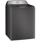 GE Profile PTW600BPRDG Top Load Washer