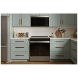 Whirlpool YWMMF5930PZ Over the Range Microwave, 30 inch Exterior Width, 1.1 cu. ft. Capacity, 300 CFM, 1,000 W Watts, LED, Stainless Steel colour