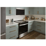 Whirlpool YWMMF5930PZ Over the Range Microwave, 30 inch Exterior Width, 1.1 cu. ft. Capacity, 300 CFM, 1,000 W Watts, LED, Stainless Steel colour