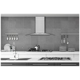 Hauslane Range Hood (WM-600SS-30)
