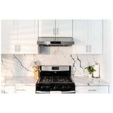 Hauslane Stainless Steel Range Hood (UC-PS18SS-30)