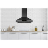 Hauslane Black Stainless Steel Range Hood (WM-538BLK-30)