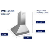 Hauslane WM-530SS-36B